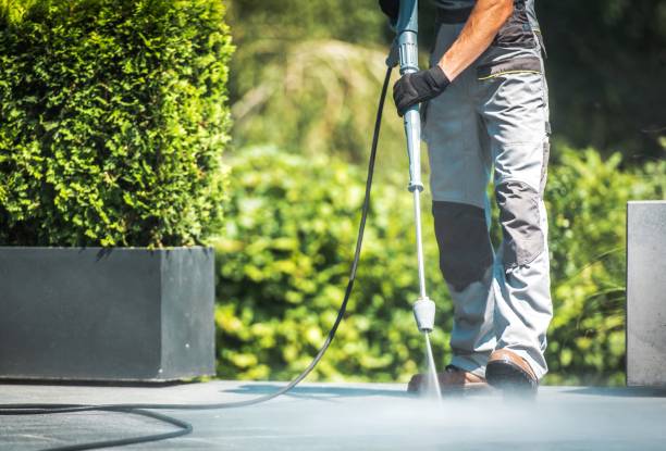 Best Building Exterior Washing  in Springfield, MA