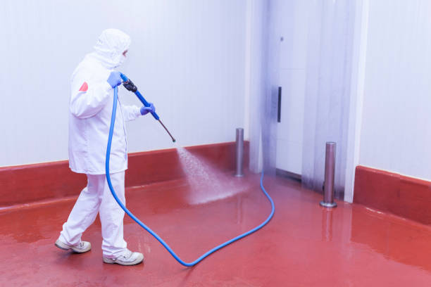 Best Solar Panel Cleaning  in Springfield, MA