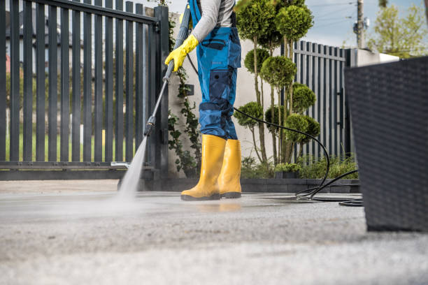 Best Dumpster Area Cleaning  in Springfield, MA